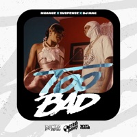 Too Bad - Single - NHance & Suspense