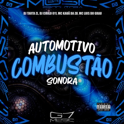 Automotivo Combustão Sonora (feat. MC LUIS DO GRAU) - Single