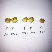 X 2 SINNER (feat. Paul´Hiver) - METRODKILO