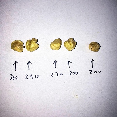 X 2 SINNER (feat. Paul´Hiver)