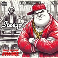 STEEZO (feat. DJ Flash) - Single - AYOO BIGZ