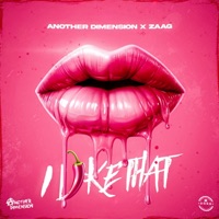 I LIKE THAT (feat. ZAAG) - Single - Another Dimension Djs