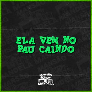 Ela Vem no Pau Caindo
