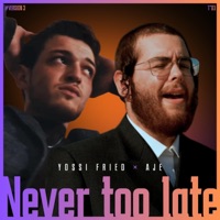 Never too late (Version 3 English) - Single - YOSSI FRIED & AJE