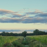 Once I was - Single - txtme & owl