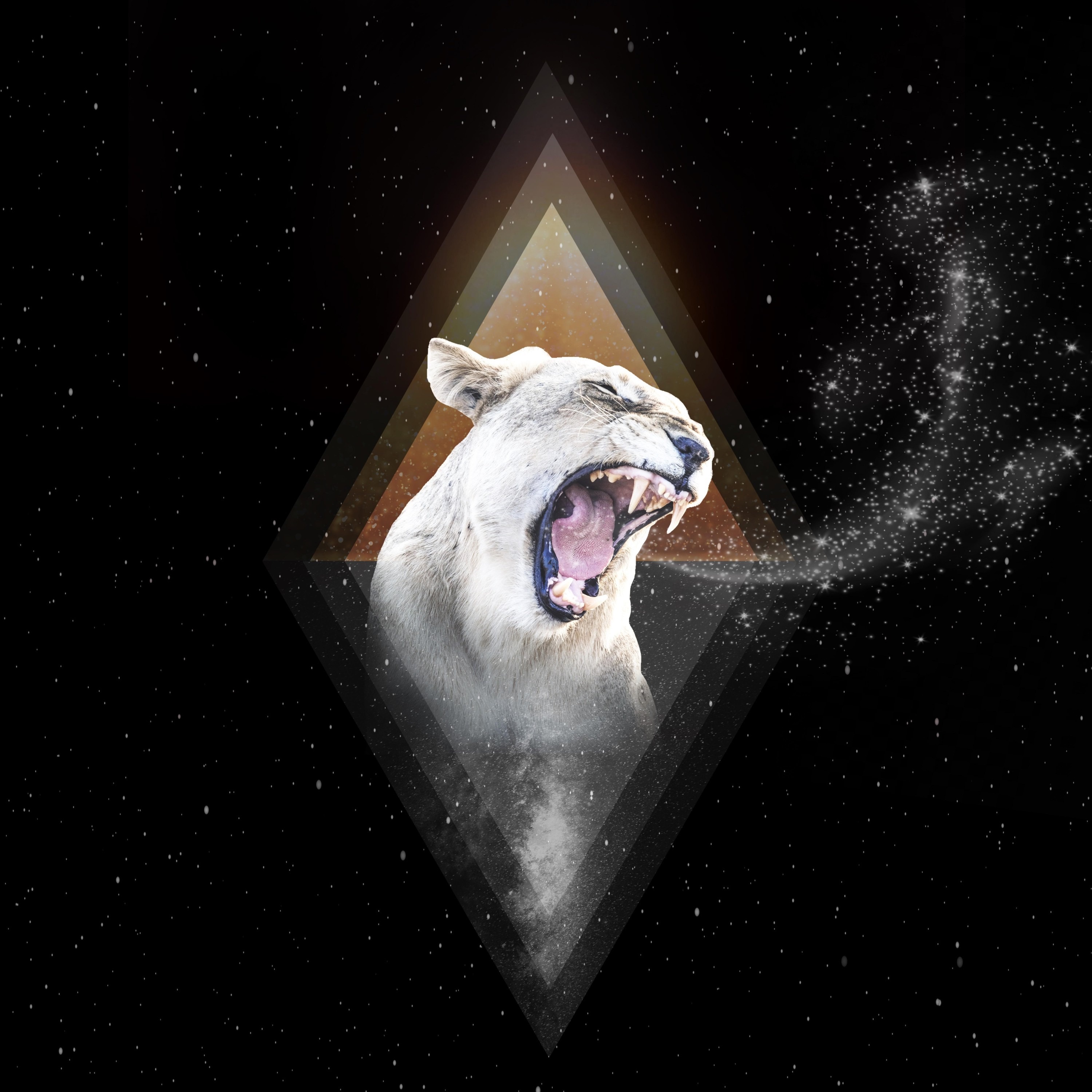 Let It Roar - Single