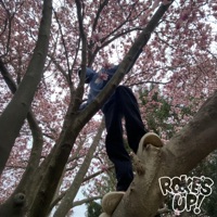 Gamble (feat. Allstar JR) - Single - Roke's Up