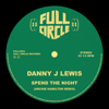 Spend The Night (feat. Dannielle Gaha) [Archie Hamilton Remix Edit] - Danny J Lewis