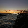 Feelings - Single