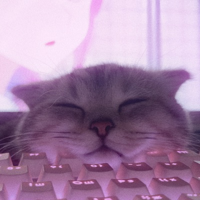 КИСИ-КИСИ МЯУ-МЯУ - Single