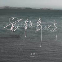 寂静岛屿 - Single - 王梓钰