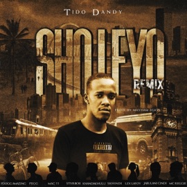 Sho Leyo Remix (feat. Pdogg Amazing, Pegg, Mac 11, Stvrboii, Khandakhulu, Skhindi, Lex Lafoy, Jabulani Cindi & Mc Reggie) Tido Dandy