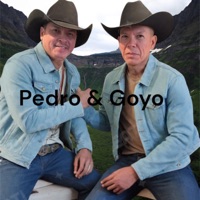 Tequila y Mezcal - Single - Pedro & Goyo