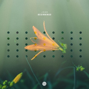 Beginnings - Single