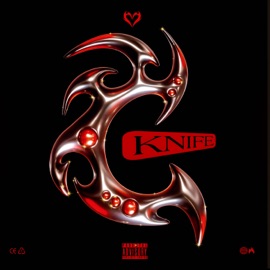 KNIFE (feat. Yunglucishawty) Giommortal