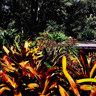 notification - Single