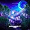 NIVIRO - Moonlight (Extended Mix) artwork