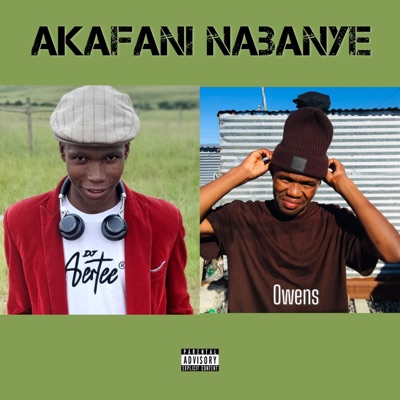Akafani nabanye (feat. Owens) - Single
