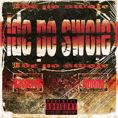 idę po swoje - Single