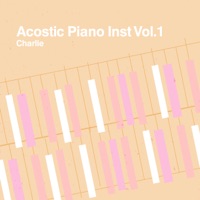 Acostic Piano Inst Vol.1