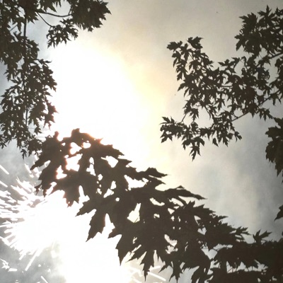 kristie interlude - Single