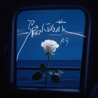 骗人的花 - Single - 大可