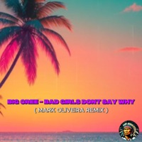 Bad Girls Dont Say Why