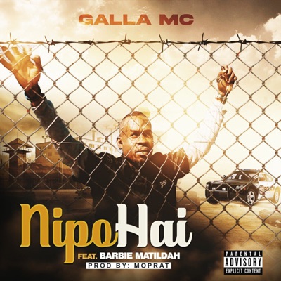 Nipo Hai - Single