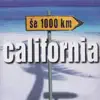 California - Ledena ptica