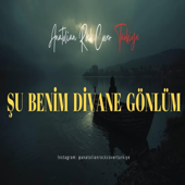 Şu Benim Divane Gönlüm