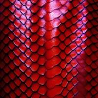 SKIN - Single - Rihanno