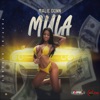 Mula - Single