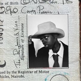 DID IT AGAIN The Rugbones & Vilan