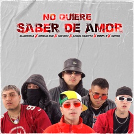 No Quiere Saber de Amor (feat. Dimelo Ene, Blastema, Angel Muertx, Donny B & Kzper) Nio Bry