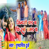 Zindagi Jhand Ba Firabhi Ghamand Ba - Single - Pushyamitra Dubey