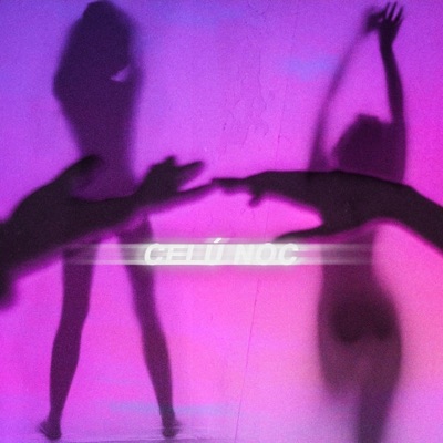 celú noc (feat. T3NSHI) - Single