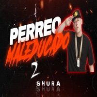 Perreo Maleducado 2 - Single - El Shura