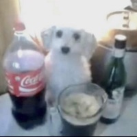 y would i - Single - golden