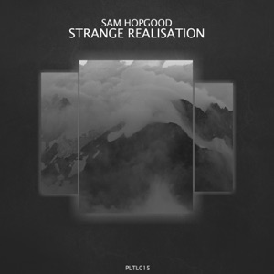 Strange Realisation - Single