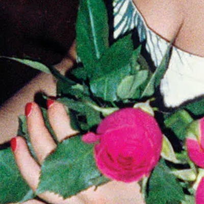 good morning, amy - Single