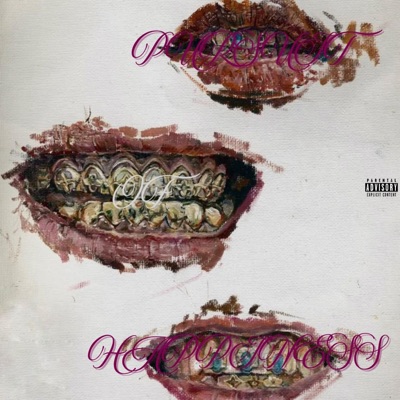 Pursuit Of Happiness - Single