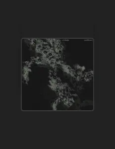 Listen to al dente, watch music videos, read bio, see tour dates & more!