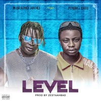 Level (feat. Young Duu) - Single - Muraino