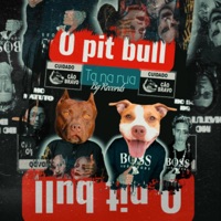O Pit Bull ta na Rua (feat. Mc matuto de Recife) - Single - bc do bg