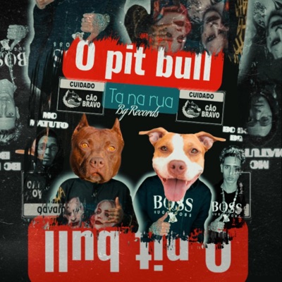 O Pit Bull ta na Rua (feat. Mc matuto de Recife) - Single
