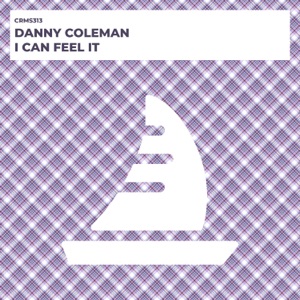 I Can Feel It - Single