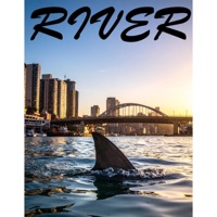 RIVER - Single - Max Hilli