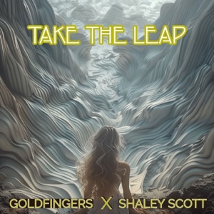 Take the Leap