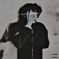 must be miistaken (Deluxe) - Diizii