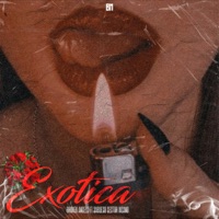 Exotica (feat. Sabueso Sector Insano) - Single - Broken Angels